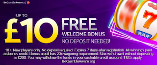 Mobile Casino No Deposit Bonuses