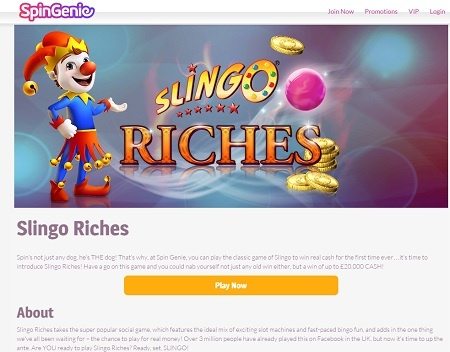 Slingo Riches