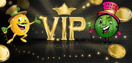 Pocket Fruity Casino VIP